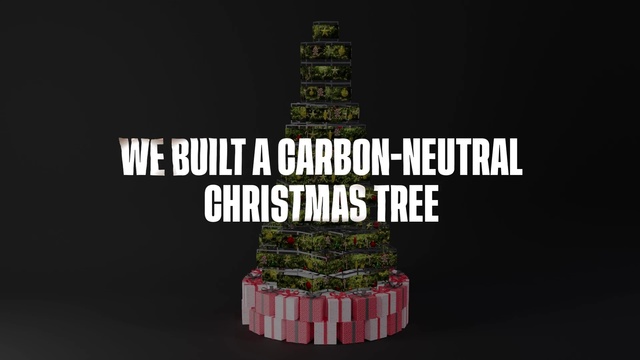 Video Reference: Font, Plant, Terrestrial plant, Wood, Event, Logo, Grass, Graphics, Advertising, Brand