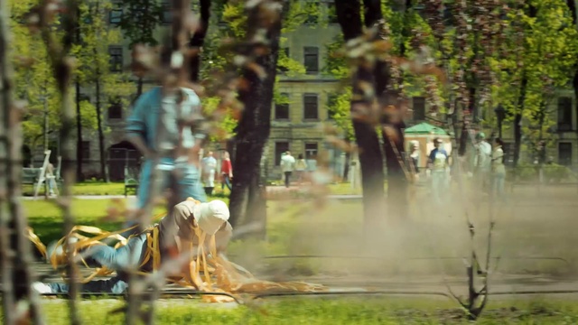 Video Reference: Plant, Fountain, Branch, Tree, Sunlight, Leisure, Wood, Grass, Woody plant, Public space