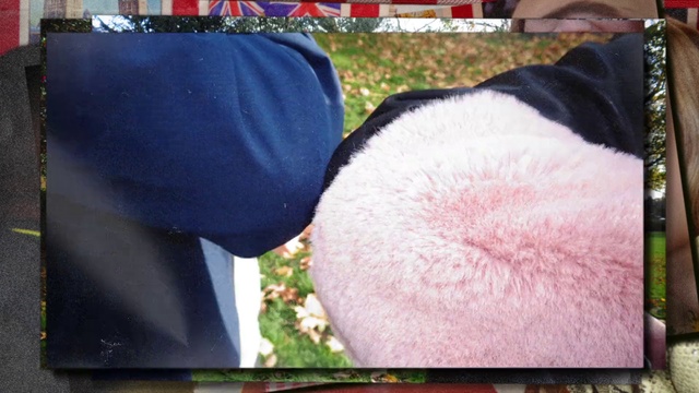 Video Reference: Gesture, Carnivore, Snout, Companion dog, Vehicle door, Fur, Magenta, Dog breed, Linens, Grass