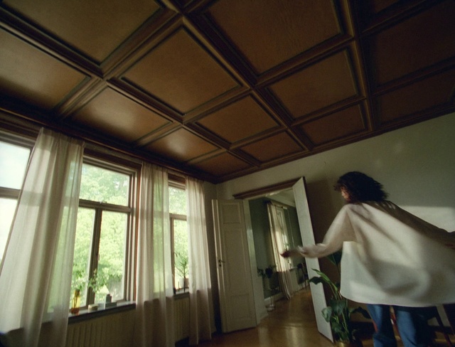 Video Reference: Window, Wood, Lighting, Interior design, Curtain, Building, Hardwood, Ceiling, Flash photography, Tree