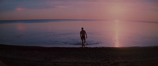 Video Reference: Water, Cloud, Sky, People in nature, Dusk, Afterglow, Lake, Sunset, Beach, Tree