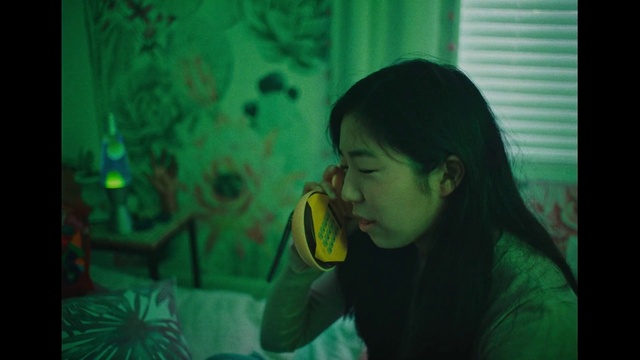 Video Reference: Green, Organism, Happy, Grass, Fun, Curtain, Leisure, Room, Design, Drink