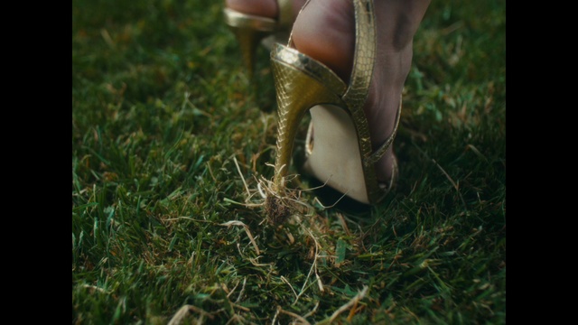 Video Reference: Plant, People in nature, Knee, Grass, Thigh, Sandal, Foot, Grass family, Grassland, Human leg