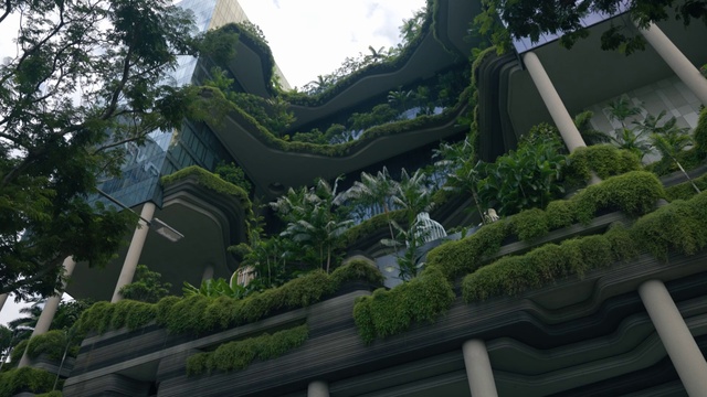 Video Reference: Plant, Sky, World, Building, Tree, Landscape, Chinese architecture, Grass, Facade, Terrestrial plant