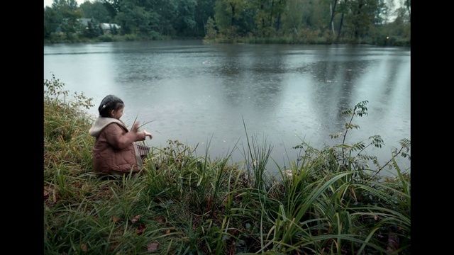 Video Reference: Water, Plant, Plant community, People in nature, Natural landscape, Natural environment, Tree, Lake, Watercourse, Grass