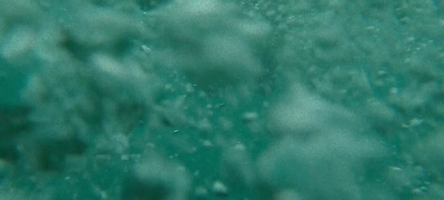 Video Reference: Water, Liquid, Fluid, Underwater, Electric blue, Pattern, Marine biology, Meteorological phenomenon, Grass, Transparent material