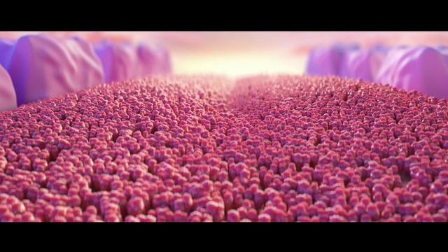 Video Reference: Food, Natural foods, Petal, Ingredient, Magenta, Local food, Flowering plant, Sweetness, Event, Produce