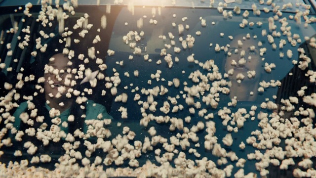 Video Reference: Liquid, Fluid, Water, Pattern, Art, Precipitation, Font, Event, Electric blue, Winter