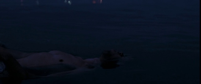 Video Reference: Atmosphere, Atmospheric phenomenon, Ice cap, Freezing, Snow, Polar ice cap, Cumulus, Event, Seabird, Landscape