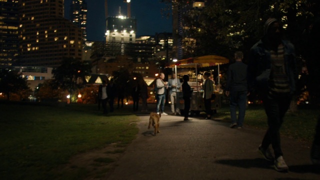 Video Reference: Plant, Building, Tree, Road surface, Public space, Midnight, City, Leisure, Road, Darkness