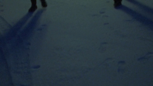 Video Reference: Leg, Blue, Snow, Road surface, Asphalt, Flooring, Freezing, Tree, Sports equipment, Grass