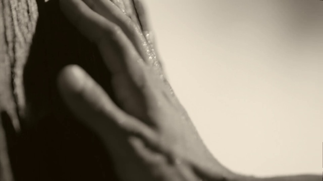 Video Reference: Lip, Hand, Arm, Leg, Human body, Jaw, Eyelash, Flash photography, Knee, Gesture