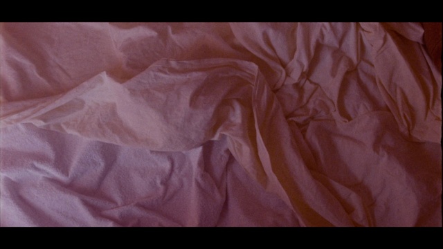 Video Reference: Purple, Sleeve, Petal, Dress, Violet, Rectangle, Plant, Wood, Silk, Tree