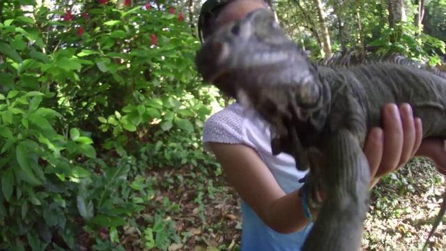 Video Reference: Hand, Plant, Fawn, Grass, Forest, Art, Sunglasses, Garden, Lawn ornament, Beard