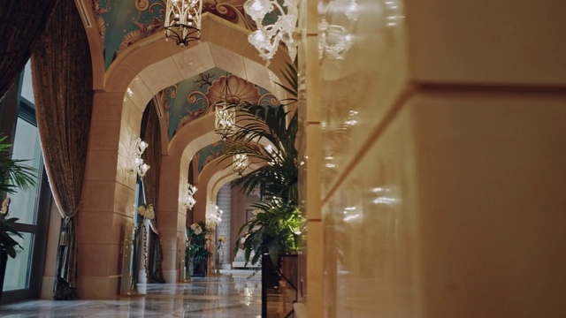 Video Reference: Plant, Flowerpot, Interior design, Houseplant, Wood, Building, Ceiling, Art, Vault, Column