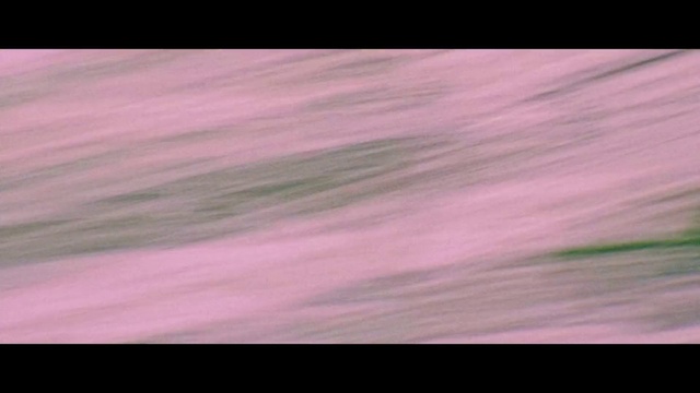 Video Reference: Purple, Violet, Pink, Font, Tints and shades, Petal, Magenta, Pattern, Electric blue, Rectangle