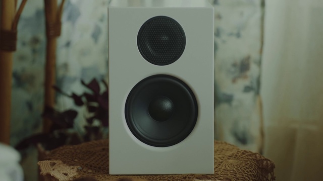 Video Reference: Electronic instrument, Output device, Sound box, Wood, Audio equipment, Grey, Gadget, Public address system, Loudspeaker, Studio monitor