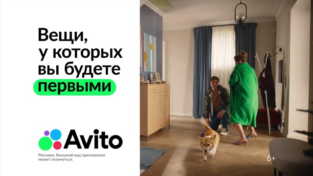 Video Reference: Dog, Carnivore, Floor, Companion dog, Flooring, Comfort, Curtain, Wood, Event, House