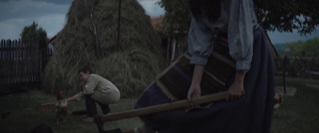 Video Reference: Wood, Plant, Shorts, Flash photography, Tree, Forest, Grass, T-shirt, Recreation, Landscape