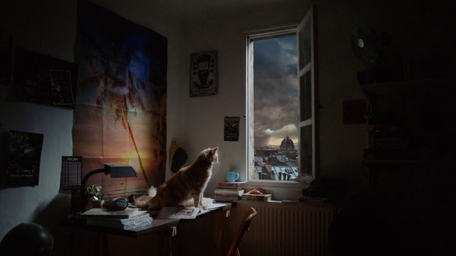 Video Reference: Table, Building, Wood, Window, Grey, Floor, Picture frame, Flooring, Carnivore, Art