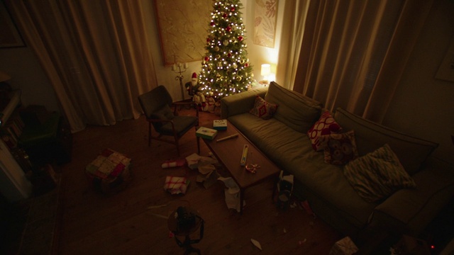 Video Reference: Brown, Christmas tree, Furniture, Couch, Christmas ornament, Window, Lighting, Interior design, Wood, Architecture