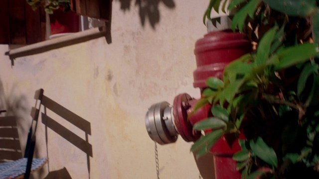 Video Reference: Plant, Wood, Red, Door, Flowerpot, Gas, Fire hydrant, Houseplant, Petal, Magenta