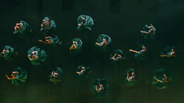 Video Reference: Azure, Fish, Water, Marine biology, Fin, Electric blue, Underwater, Event, Pattern, Wildlife