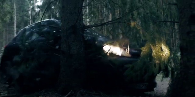 Video Reference: Branch, Plant, Wood, Organism, Trunk, Tree, Terrestrial plant, Natural landscape, Grass, Tints and shades