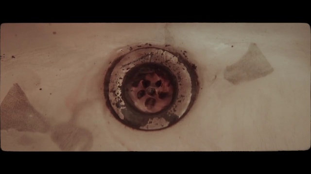 Video Reference: Jaw, Automotive tire, Wood, Plant, Eyelash, Circle, Snout, Automotive wheel system, Art, Soil