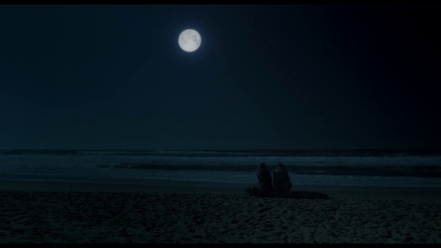Video Reference: Water, Sky, Moon, Beach, Full moon, Astronomical object, Landscape, Horizon, Plant, Moonlight