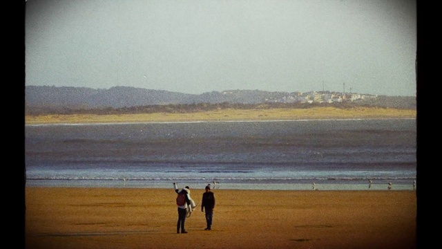 Video Reference: Water, Sky, People on beach, Ecoregion, People in nature, Beach, Body of water, Coastal and oceanic landforms, Horizon, Fun