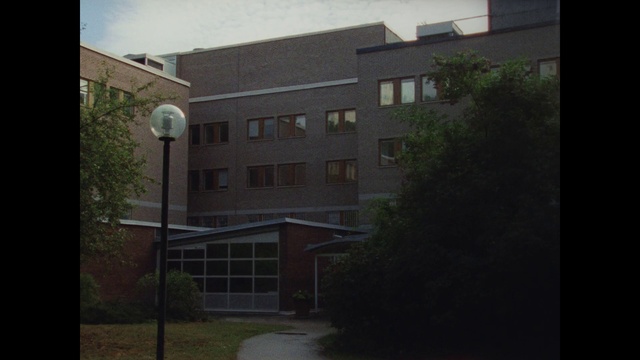 Video Reference: Window, Building, Plant, Sky, Street light, Atmospheric phenomenon, Urban design, Fixture, Condominium, Tree