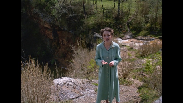 Video Reference: Plant, Sleeve, People in nature, Wood, Tree, Grass, Fawn, Street fashion, Natural landscape, Landscape