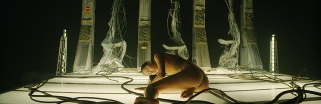 Video Reference: Shoulder, Knee, Elbow, Thigh, Art, Chest, Human leg, Event, Visual arts, Rib