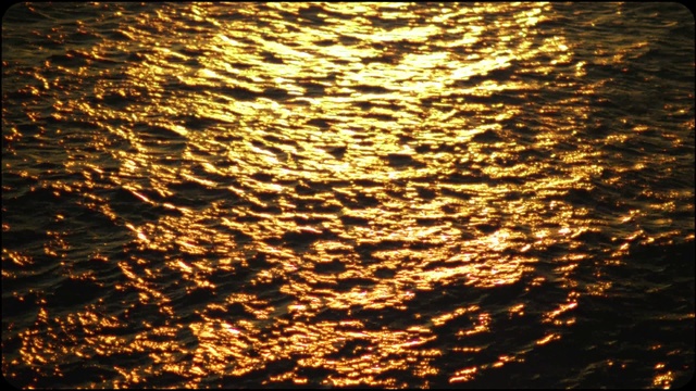 Video Reference: Water, Atmosphere, Liquid, Amber, Afterglow, Body of water, Gold, Branch, Orange, Sunset