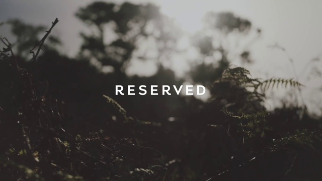 Video Reference: Water, Cloud, Plant, Twig, Natural landscape, Sky, Flash photography, Happy, Wood, Landscape