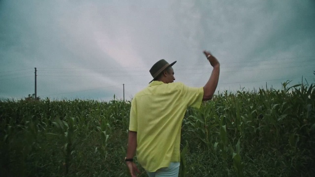 Video Reference: Cloud, Sky, Plant, Jeans, Shirt, Hat, Cap, Sun hat, Gesture, Happy