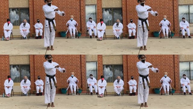 Video Reference: Sports uniform, Photograph, Green, Vertebrate, White, Blue, Mammal, World, Community, People