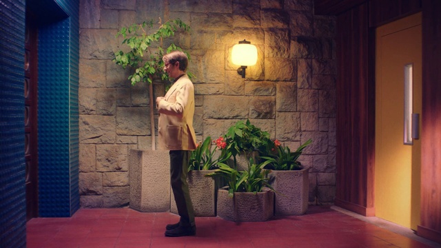 Video Reference: Plant, Leaf, Blue, Flash photography, Standing, Interior design, Houseplant, Wall, Wood, Adaptation