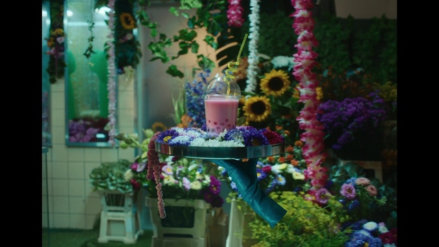 Video Reference: Flower, Plant, Purple, Pink, Decoration, Flowerpot, Annual plant, Petal, Magenta, Event