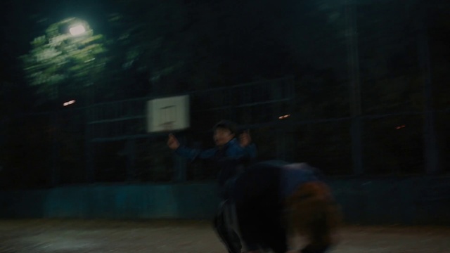 Video Reference: Working animal, Automotive lighting, Midnight, Event, Darkness, Fun, Bull, Landscape, Pack animal, Stallion