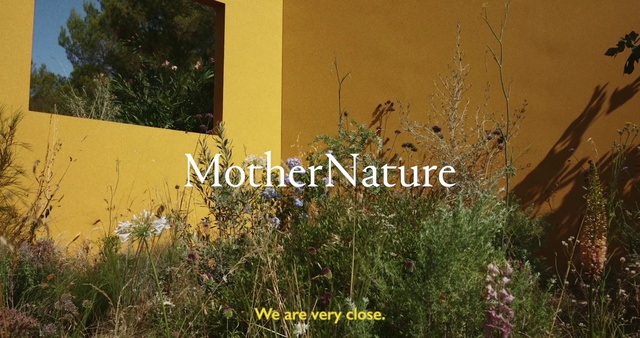 Video Reference: Plant, Plant community, Natural landscape, Branch, Wood, Grass, Tree, Font, Landscape, Tints and shades