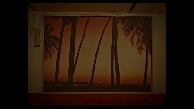 Video Reference: Plant, Rectangle, Wood, Branch, Window, Orange, Tree, Twig, Art, Woody plant