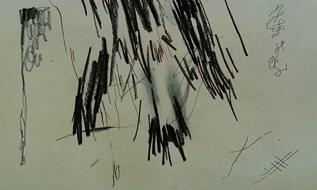 Video Reference: Eyelash, Plant, Art, Font, Painting, Tree, Tints and shades, Feather, Drawing, Illustration