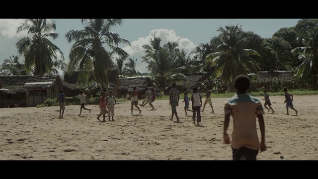 Video Reference: Sky, Shorts, Plant, Tree, Arecales, People on beach, Woody plant, Travel, Adaptation, Trunks