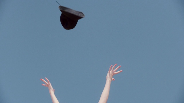 Video Reference: Sky, Atmosphere, Toy, People in nature, Gesture, Happy, Wing, Travel, Tree, Aerobatics