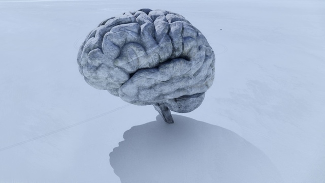 Video Reference: Water, Plant, Human body, Brain, Jaw, Snow, Brain, Gesture, Art, Tree