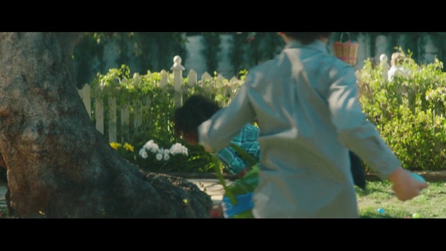 Video Reference: Plant, People in nature, Flower, Happy, Organism, Gesture, Petal, Grass, Landscape, Natural landscape