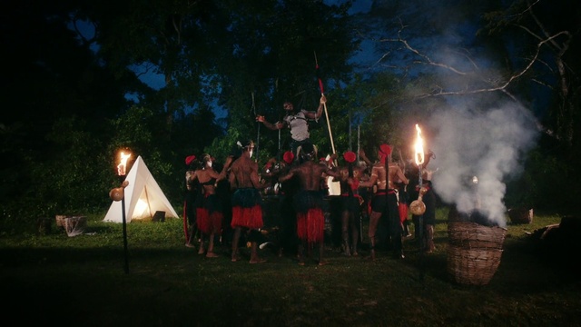 Video Reference: Nature, Lighting, Sky, Tree, Grass, Fire, Event, Flag, Pole, Crowd