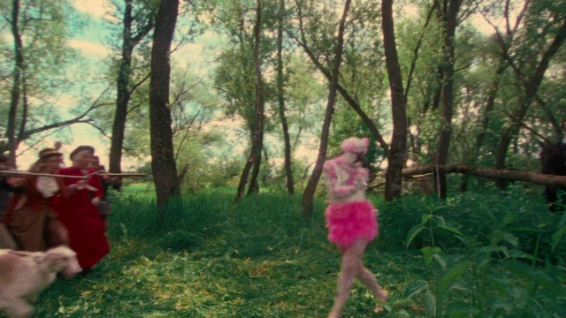 Video Reference: Plant, Ecoregion, People in nature, Tree, Wood, Branch, Natural landscape, Mammal, Sunlight, Terrestrial plant